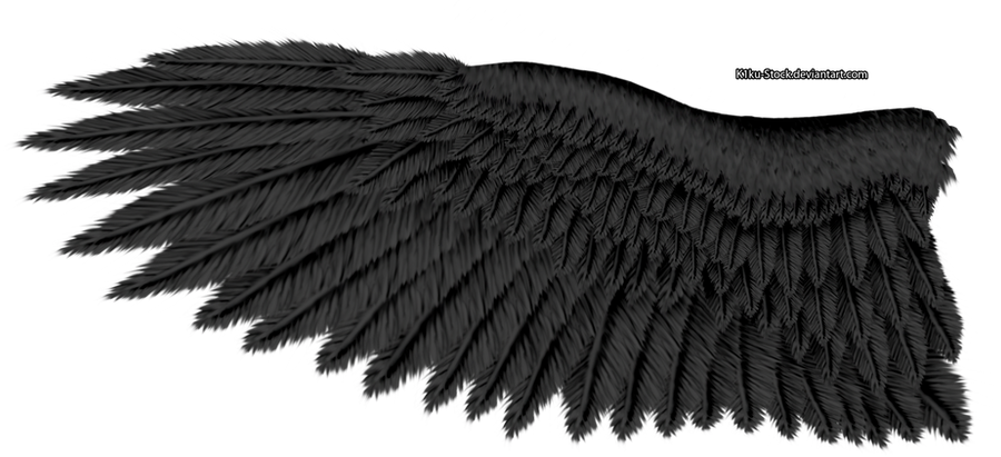 Black Eagle Wing