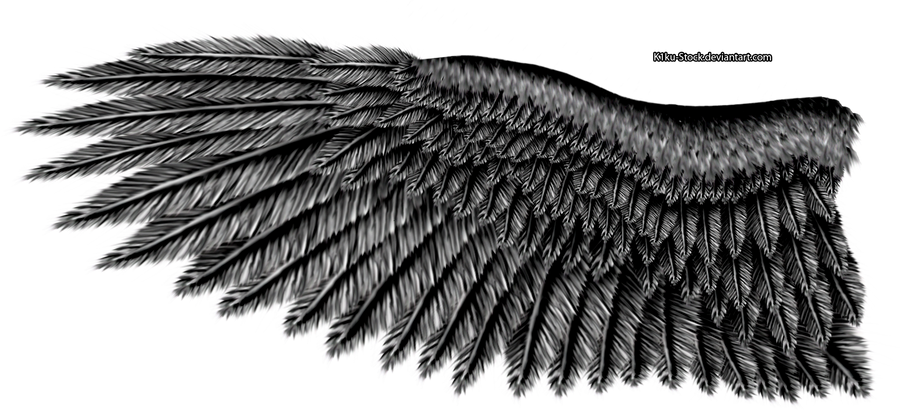 Black Steel Eagle Wing