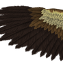 Eagle Wing
