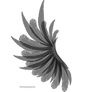 Transparent Black Wing