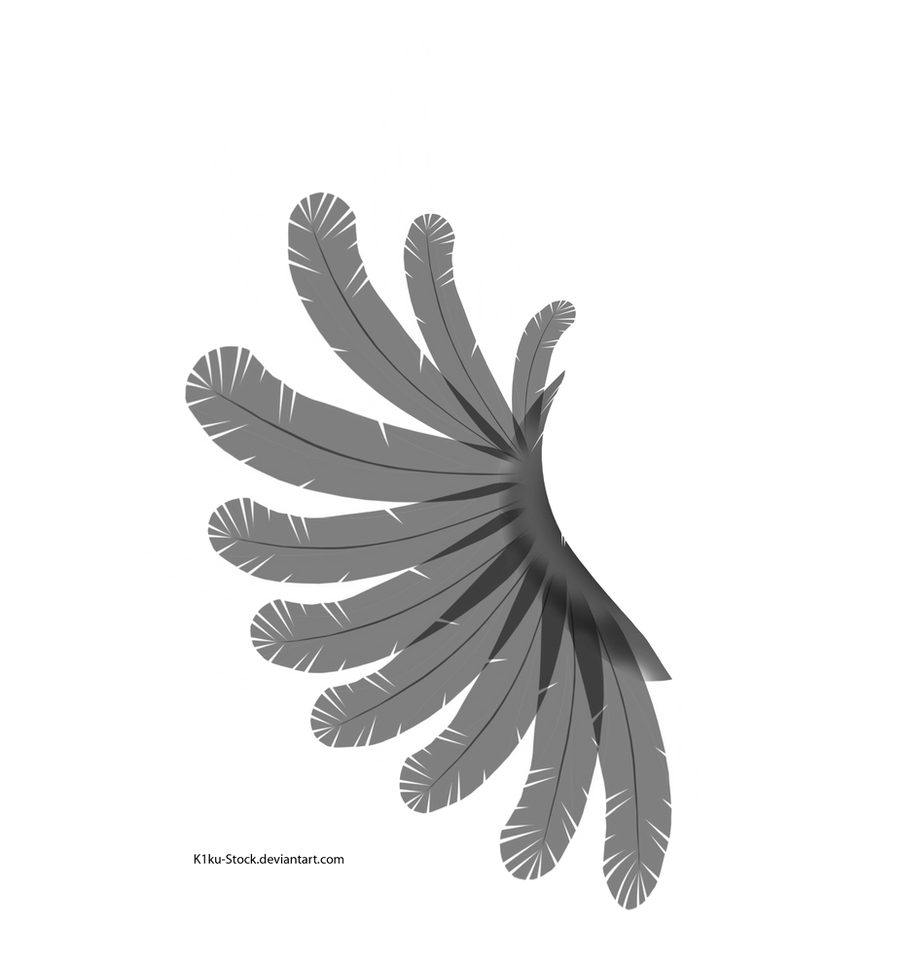 Transparent Black and White Wing