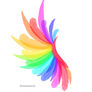 Transparent Rainbow Wing