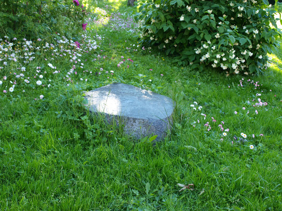 Half A Stone By K1ku Stock On DeviantArt 19-a-stone-is-thrown-vertically-upwards-with-an-initial-velocity-14-m-s