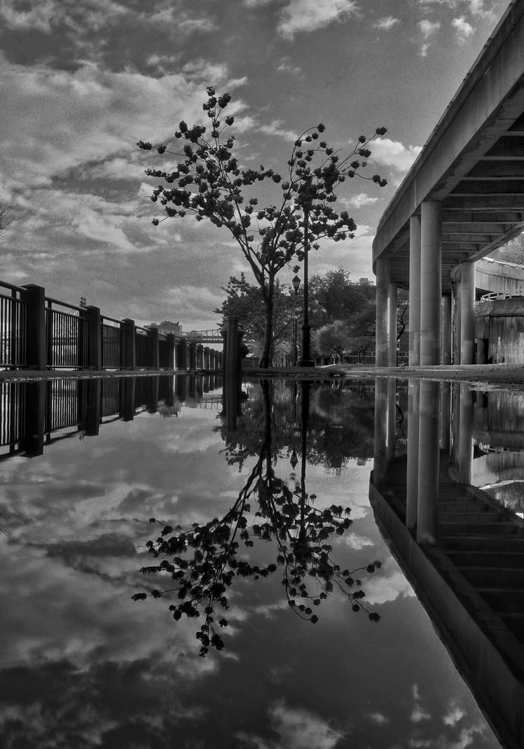 Reflection on a rain puddle by jmac8866 on DeviantArt