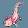 Axolotl