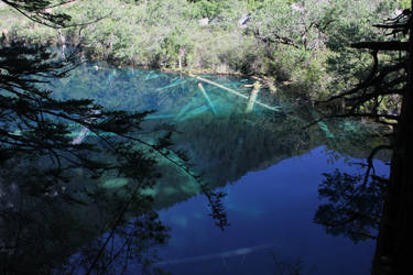 Jiuzhaigou 21