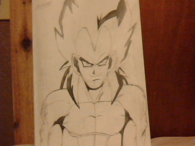 Vegeta Super Saiyan 4