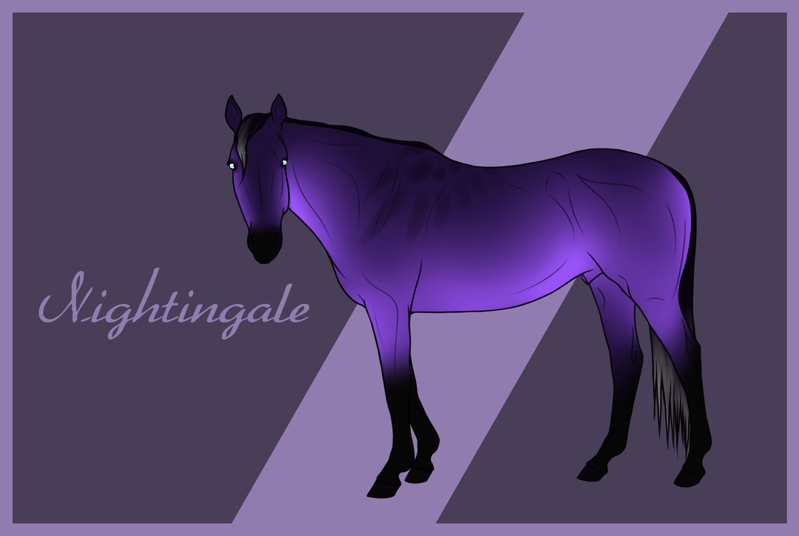 337 Nightingale