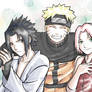 team7