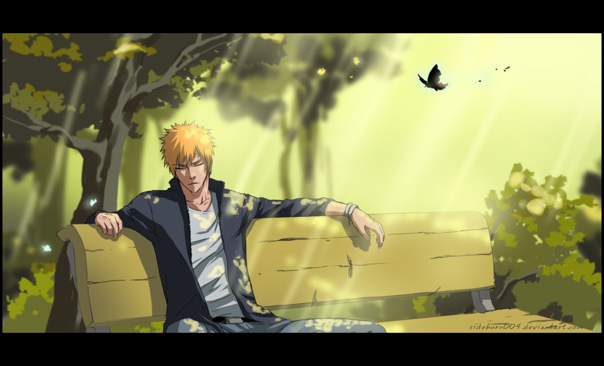 BLEACH: Butterfly