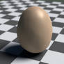 Egg