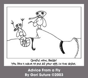 Advice From a Fly