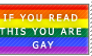 if u read this ur gay