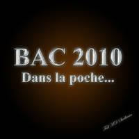 Baccalaureat 2010