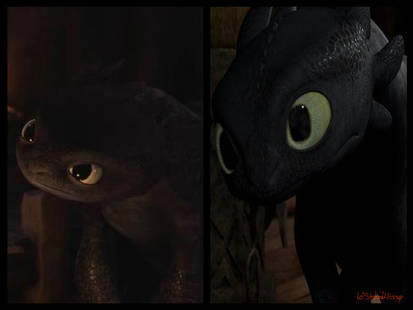 Confronting Toothless