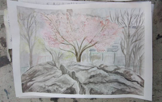 Cherry tree in a park, Watercolor 