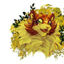CY | A Sunny Smile