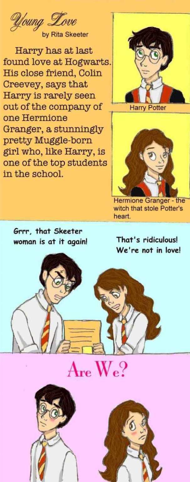 Harry Potter Meme 2 part 2 by DKCissner on DeviantArt