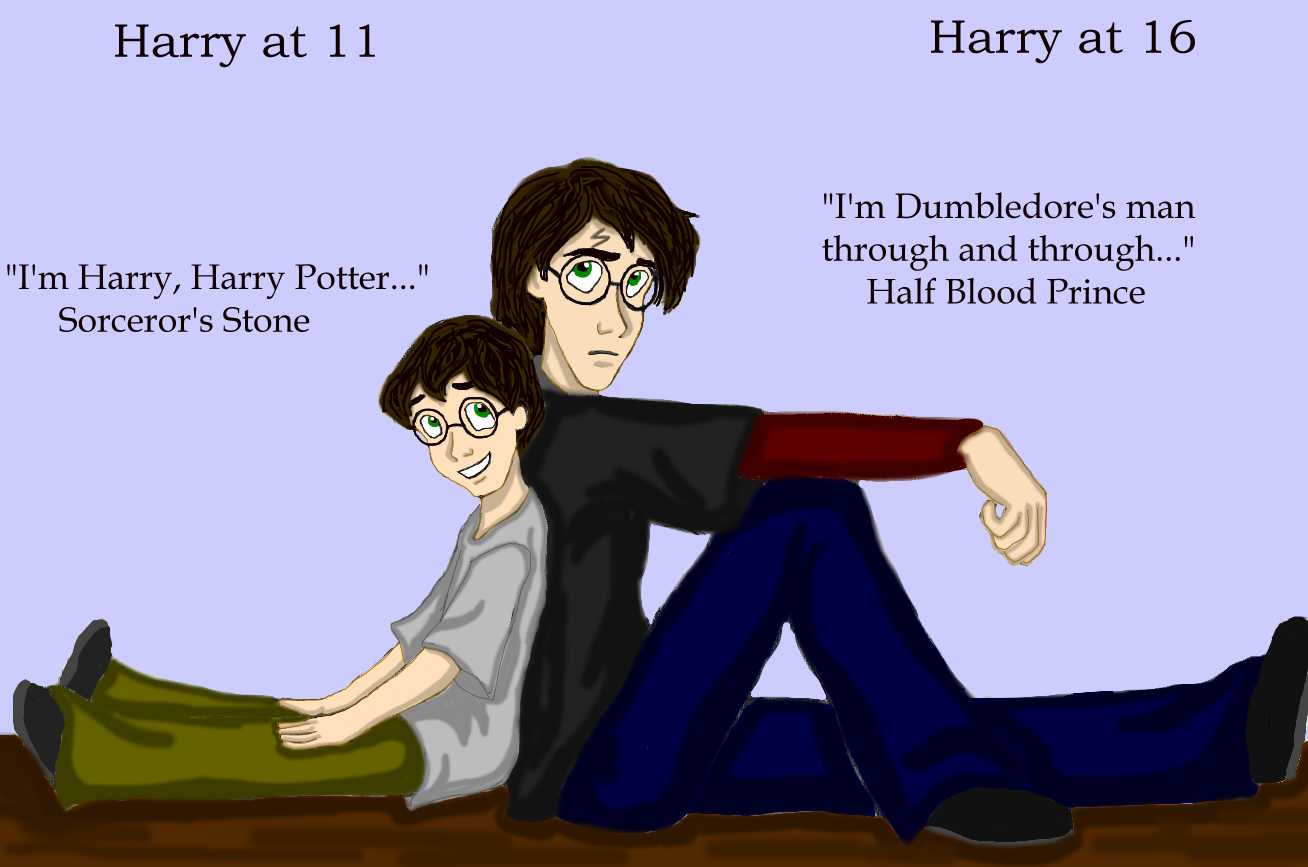 Harry Potter Meme 2 part 2 by DKCissner on DeviantArt