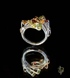 Stardust Ring -perspective  2