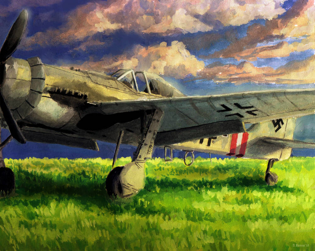 Focke Wulf Fw-190 by Doqida