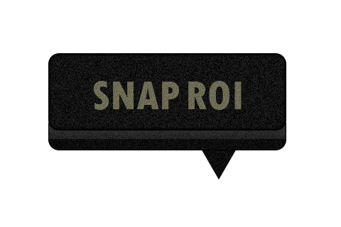 SnapROI_Logo_II