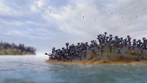 Zbrush Doodle: Day 2617 - Tiny Islands