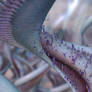 Zbrush Doodle: Day 2686 - Flourishing Spiral