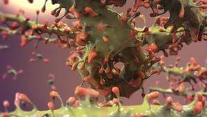 Zbrush Sculpt: Day 3095 - Alien Growth