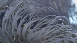 Zbrush Sculpt: Day 3188 - Fluid Turbulence