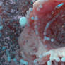 Zbrush Sculpt: Day 3245 - Fluid Culmination