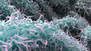 Zbrush Sculpture Day 3315 - Growing Anxiety