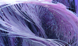 Zbrush Sculpture Day 3337 - Flourish in Purple
