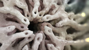 Zbrush Sculpture Day 3385 - Enchained