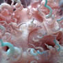Zbrush Sculpture Day 3406 - Mycelial Mystique