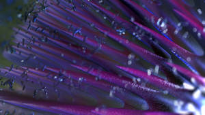 Zbrush Sculpture Day 3446 - Luminous Thistles