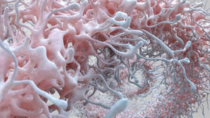 Zbrush Sculpt Day 3481 - Symbiotic Reticulation