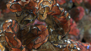 Zbrush Sculpt Day 3538 - Tranquil Embrace