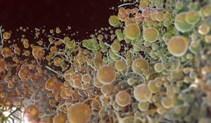 Zbrush Sculpt Day 3627 - Drift Away