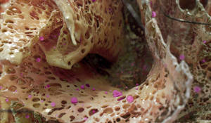 Zbrush Sculpture Day 3663 - Surreal Swirls