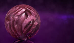 Zbrush Sculpture Day 3675 - Floral Essence