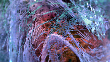 Zbrush Sculpture Day 3688 - Fluid Core