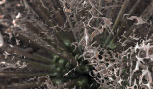 Zbrush Sculpture Day 3720 -Molten Metamorphosis