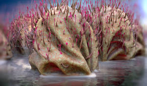 Zbrush Sculpture Day 3776 - Drifter of the Abyss