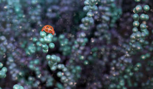 Zbrush Sculpture Day 3926 - Squirrel Crab's Perch