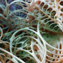 Zbrush Sculpt Day 3970 - Currents in the Lattice