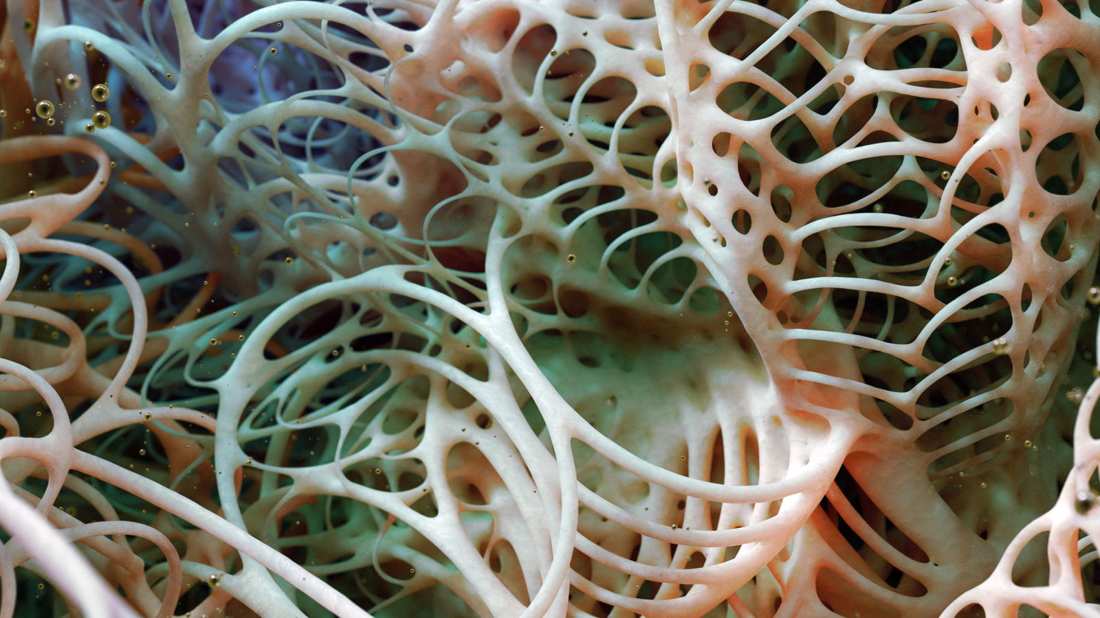 Zbrush Sculpt Day 3971 - Currents in the Lattice