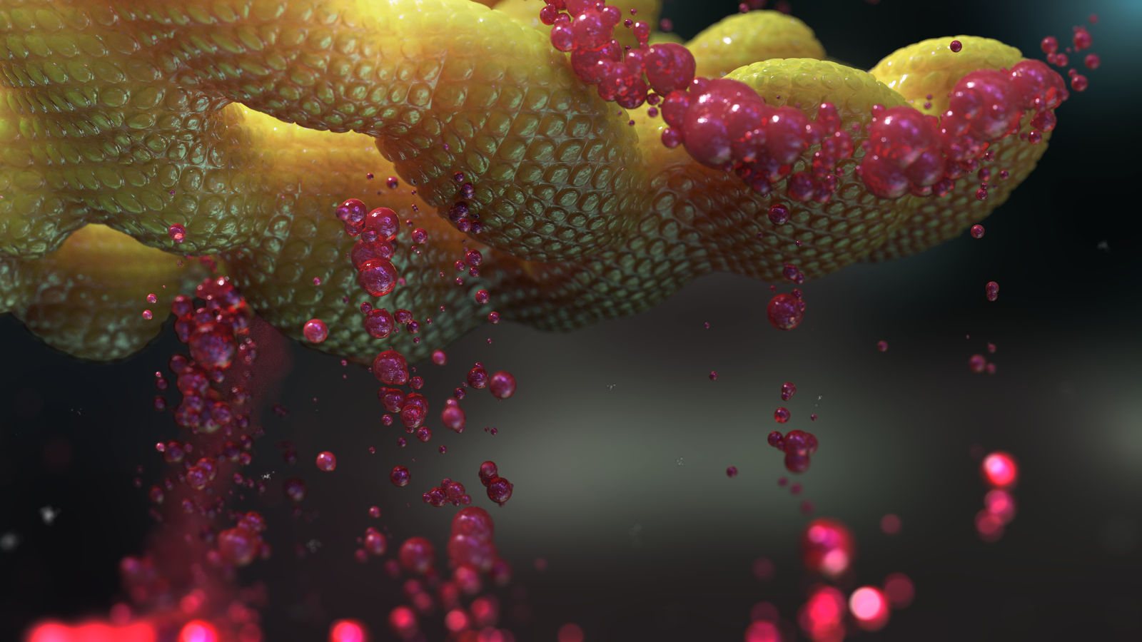 Zbrush Sculpture Day 3974 - Sifting Bubble Ribbons