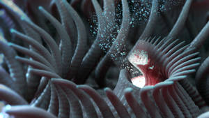 Zbrush Sculpture Day 3980 - Bloomwell