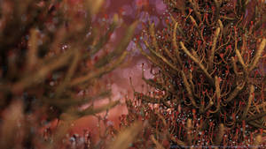 Zbrush Sculpt Day 4060- Bloom of the Nebular Grove